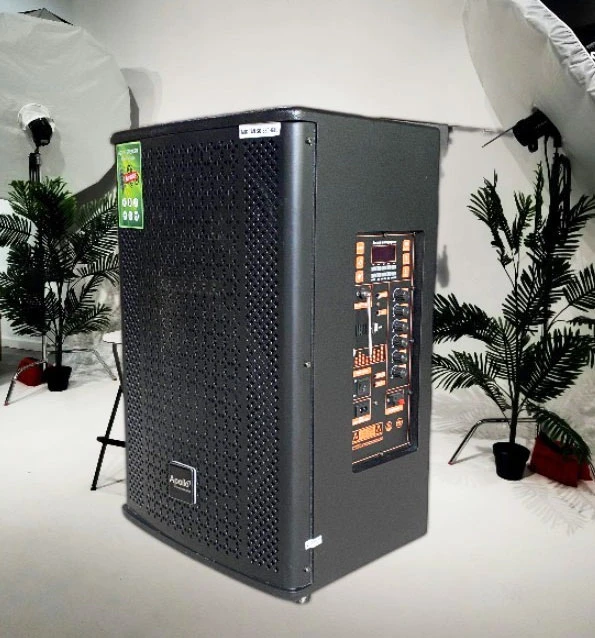 Nên chọn mua loa 2 đường tiếng hay loa 3 đường tiếng?